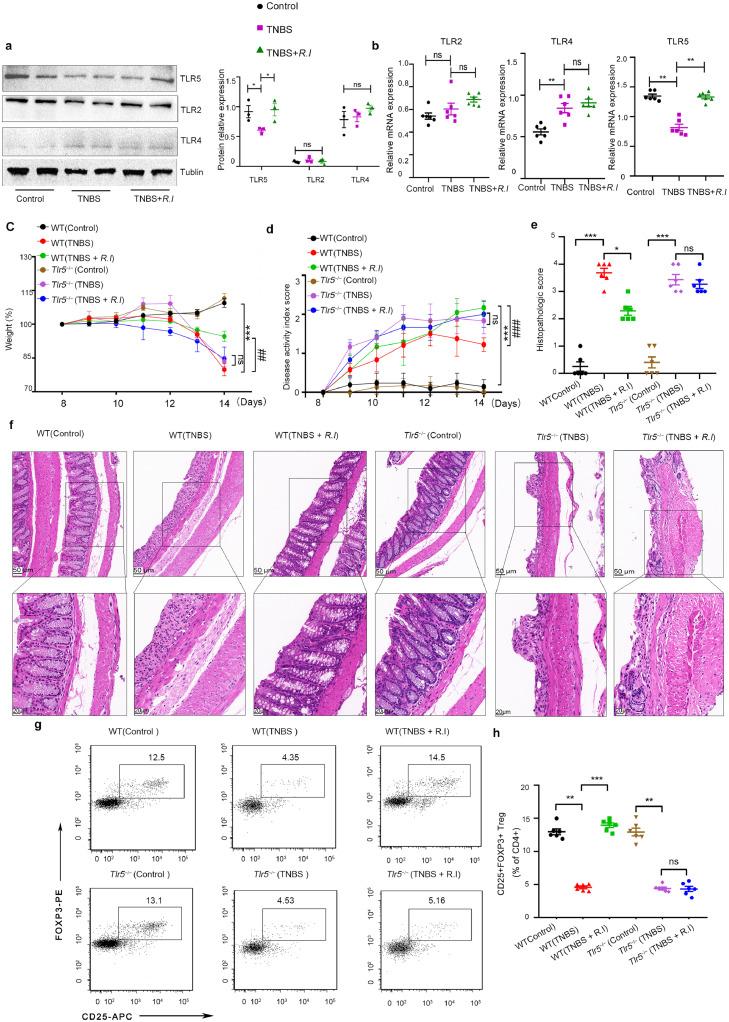 https://cdn.ncbi.nlm.nih.gov/pmc/blobs/710e/9526137/8acbc9441d88/gr1.jpg