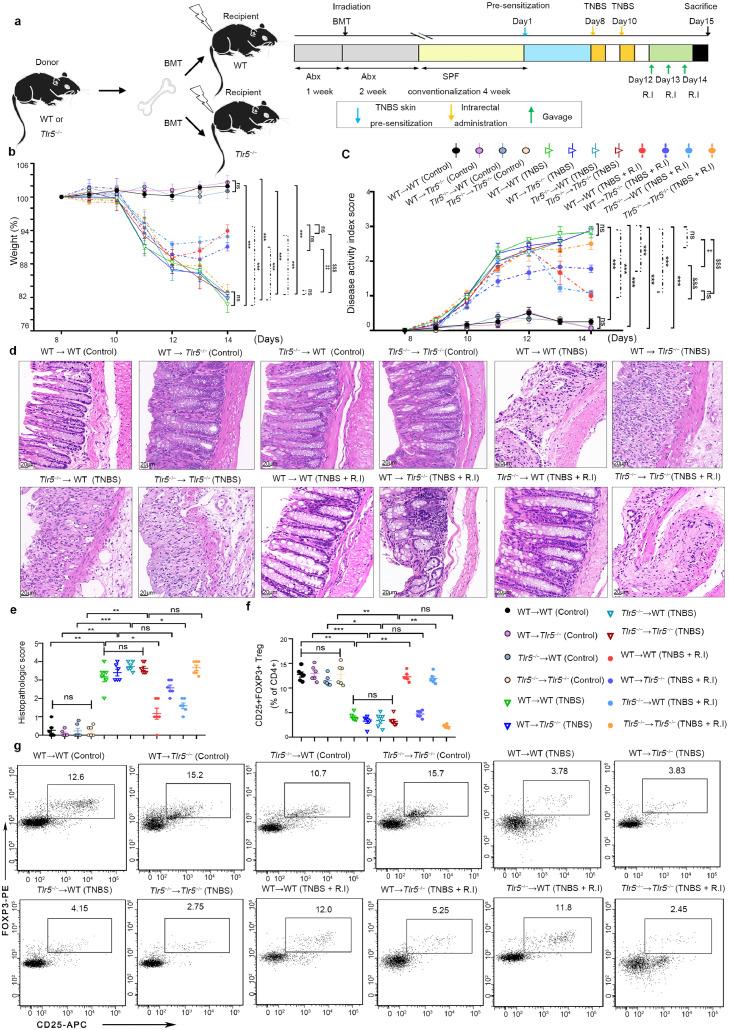 https://cdn.ncbi.nlm.nih.gov/pmc/blobs/710e/9526137/d27b908ad659/gr2.jpg