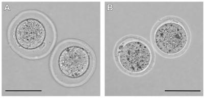 https://cdn.ncbi.nlm.nih.gov/pmc/blobs/7110/2827551/4d6cd3ebc471/pone.0009387.g003.jpg