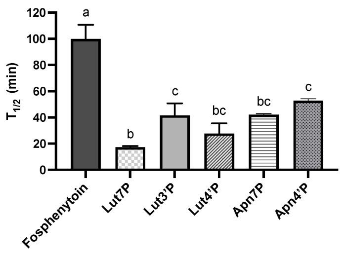 https://cdn.ncbi.nlm.nih.gov/pmc/blobs/7111/11727040/ada109d6e9d8/antioxidants-13-01530-g003.jpg