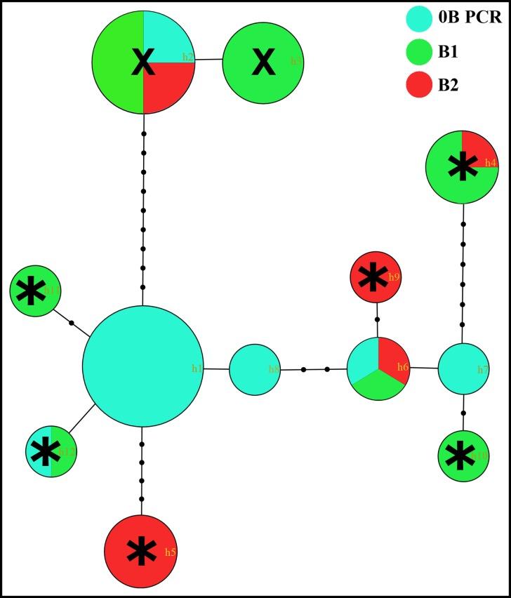 https://cdn.ncbi.nlm.nih.gov/pmc/blobs/7111/4775049/08b3a06c05f6/pone.0150573.g005.jpg