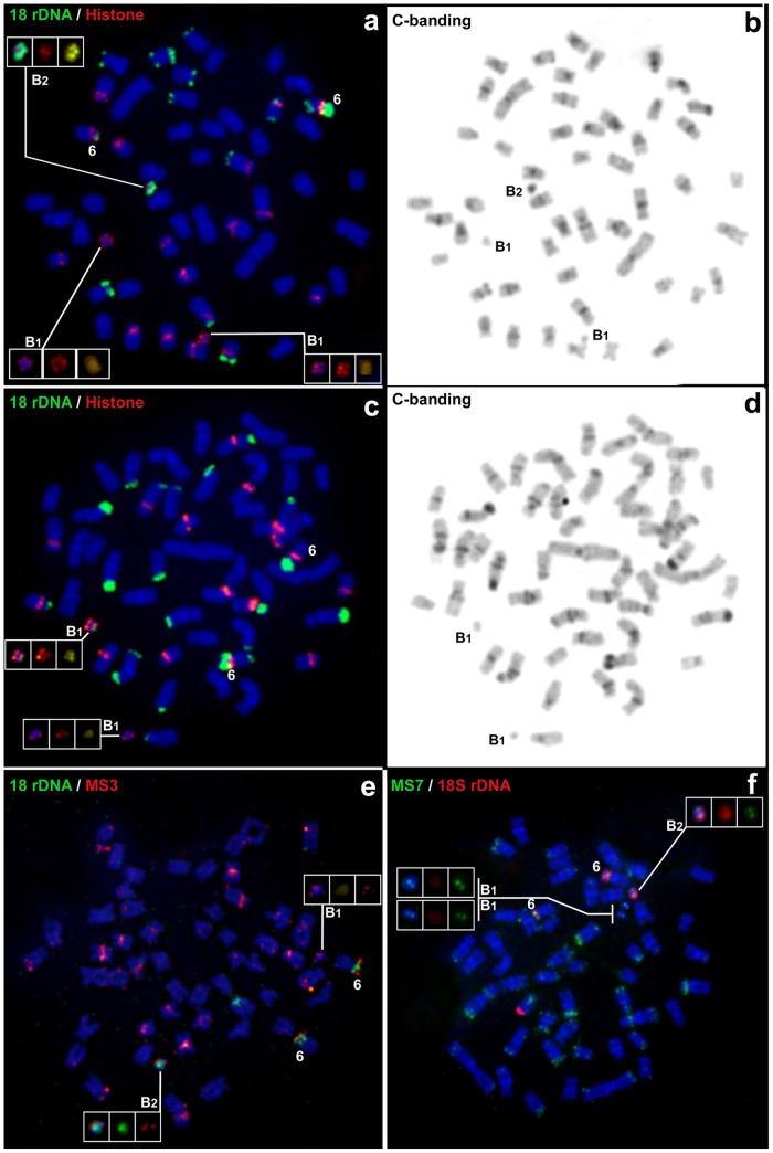 https://cdn.ncbi.nlm.nih.gov/pmc/blobs/7111/4775049/2537124e1f02/pone.0150573.g003.jpg
