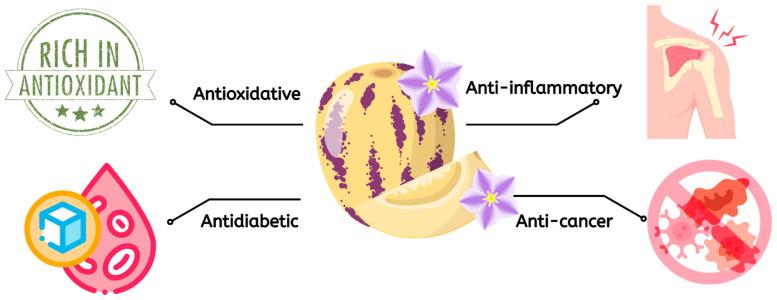 https://cdn.ncbi.nlm.nih.gov/pmc/blobs/7113/11394486/6cf9fd668efe/foods-13-02740-g002.jpg