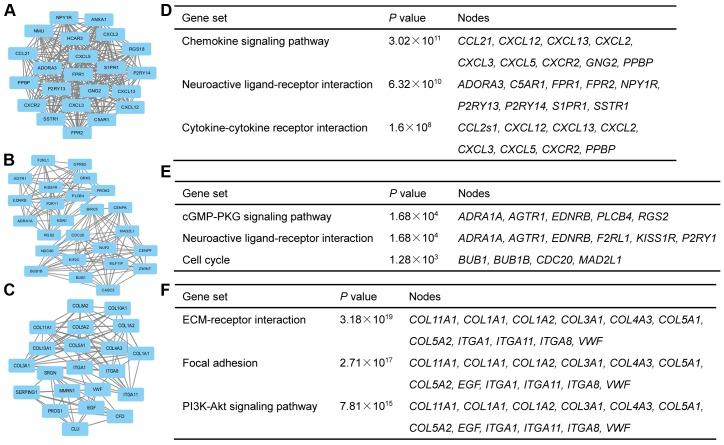 https://cdn.ncbi.nlm.nih.gov/pmc/blobs/7113/5921217/61d62627a311/ol-15-05-6436-g01.jpg