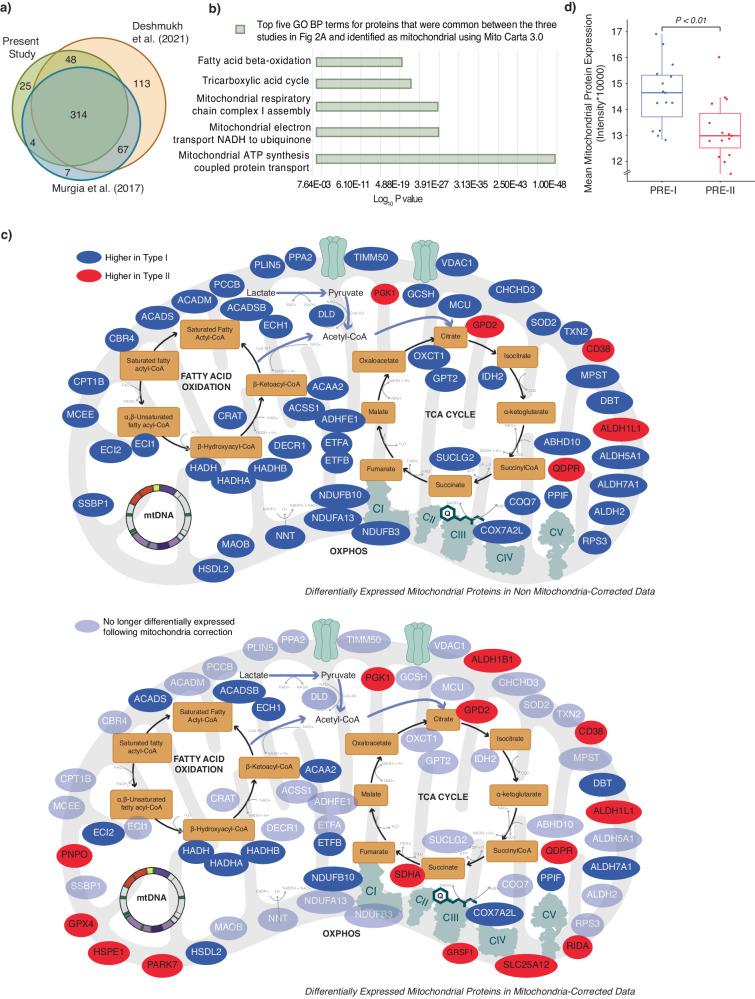 https://cdn.ncbi.nlm.nih.gov/pmc/blobs/7115/11371815/0a50d35cfac5/41467_2024_50632_Fig2_HTML.jpg