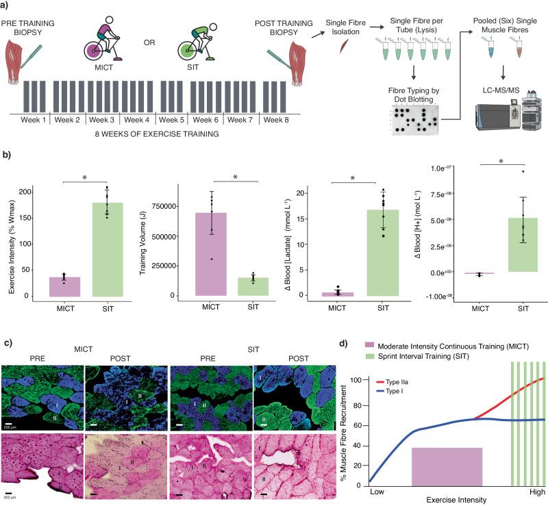 https://cdn.ncbi.nlm.nih.gov/pmc/blobs/7115/11371815/2247cb950b5a/41467_2024_50632_Fig3_HTML.jpg