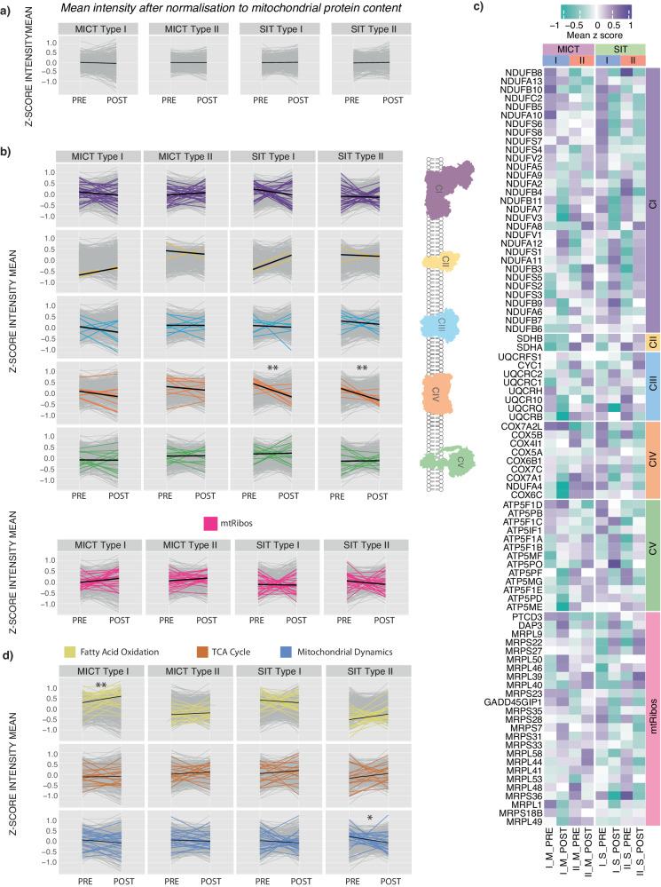 https://cdn.ncbi.nlm.nih.gov/pmc/blobs/7115/11371815/53c660108db3/41467_2024_50632_Fig7_HTML.jpg