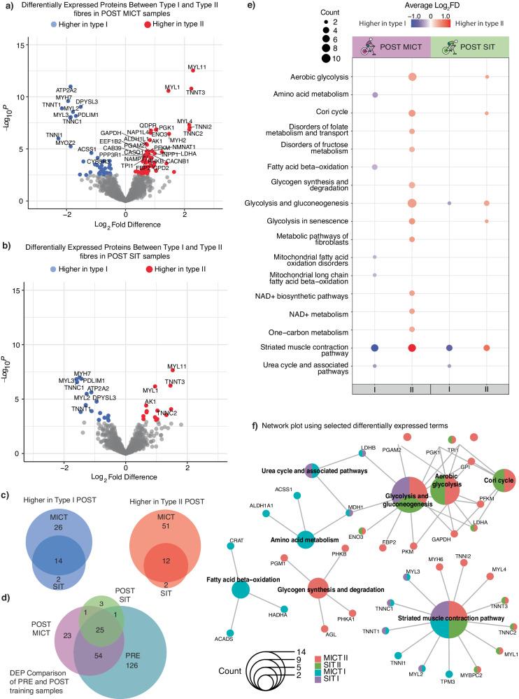 https://cdn.ncbi.nlm.nih.gov/pmc/blobs/7115/11371815/b054b1d35168/41467_2024_50632_Fig5_HTML.jpg