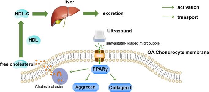 https://cdn.ncbi.nlm.nih.gov/pmc/blobs/7119/8559971/b4a4d9252fd7/BJR-10-693-g0005.jpg
