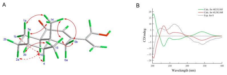 https://cdn.ncbi.nlm.nih.gov/pmc/blobs/711b/12389007/d1a8c8cefa1a/pharmaceuticals-18-01125-g002.jpg