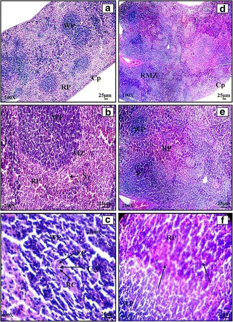 https://cdn.ncbi.nlm.nih.gov/pmc/blobs/711b/5124282/4ffdf4e88eee/12906_2016_1474_Fig4_HTML.jpg