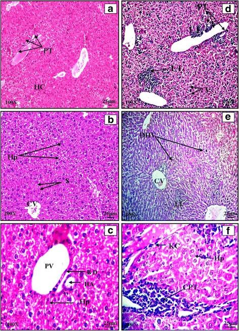 https://cdn.ncbi.nlm.nih.gov/pmc/blobs/711b/5124282/751aea48c018/12906_2016_1474_Fig2_HTML.jpg