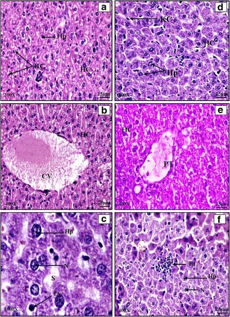 https://cdn.ncbi.nlm.nih.gov/pmc/blobs/711b/5124282/c77c720c463e/12906_2016_1474_Fig3_HTML.jpg