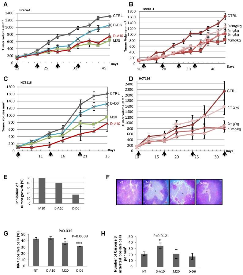 https://cdn.ncbi.nlm.nih.gov/pmc/blobs/711b/6266717/f077ab0bef3a/cancers-10-00452-g002.jpg