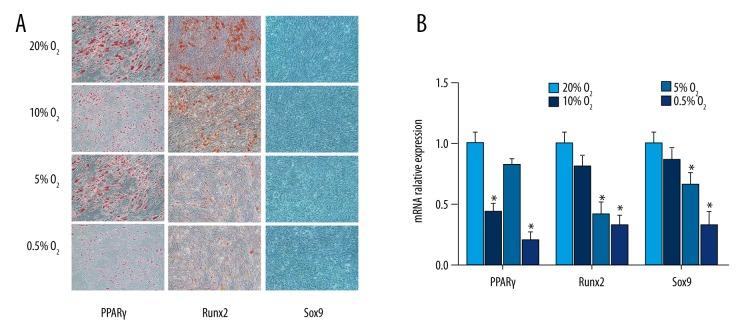 https://cdn.ncbi.nlm.nih.gov/pmc/blobs/7120/5367841/21ecce2bb47c/medscimonit-23-1334-g003.jpg