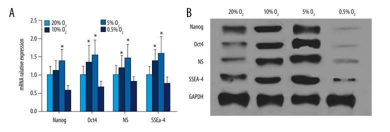 https://cdn.ncbi.nlm.nih.gov/pmc/blobs/7120/5367841/344d12e74569/medscimonit-23-1334-g002.jpg