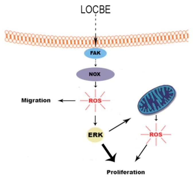 https://cdn.ncbi.nlm.nih.gov/pmc/blobs/7122/5705975/ca0b13136999/toxins-09-00360-g007.jpg