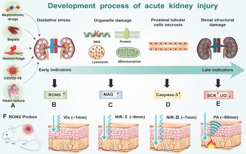 https://cdn.ncbi.nlm.nih.gov/pmc/blobs/7124/8965497/81ae800fa5c1/thnov12p2963g007.jpg