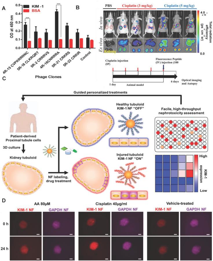 https://cdn.ncbi.nlm.nih.gov/pmc/blobs/7124/8965497/e040bbfda174/thnov12p2963g012.jpg