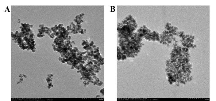https://cdn.ncbi.nlm.nih.gov/pmc/blobs/7127/3833863/589bbf46c117/OL-06-06-1550-g01.jpg