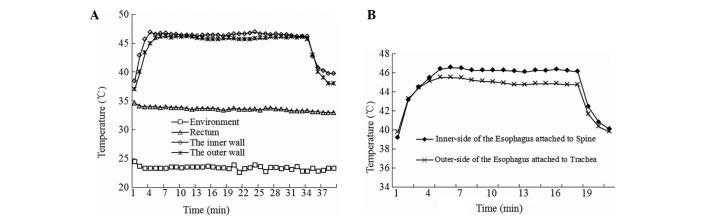 https://cdn.ncbi.nlm.nih.gov/pmc/blobs/7127/3833863/679b3bcfaedc/OL-06-06-1550-g05.jpg