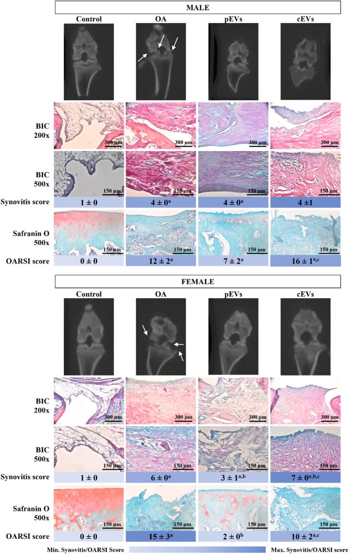 https://cdn.ncbi.nlm.nih.gov/pmc/blobs/7129/10873568/f5405bffcf44/gr2.jpg