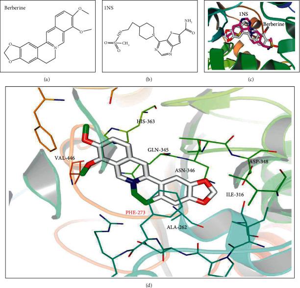 https://cdn.ncbi.nlm.nih.gov/pmc/blobs/7129/8110403/21f85accfd89/ECAM2021-8886699.006.jpg