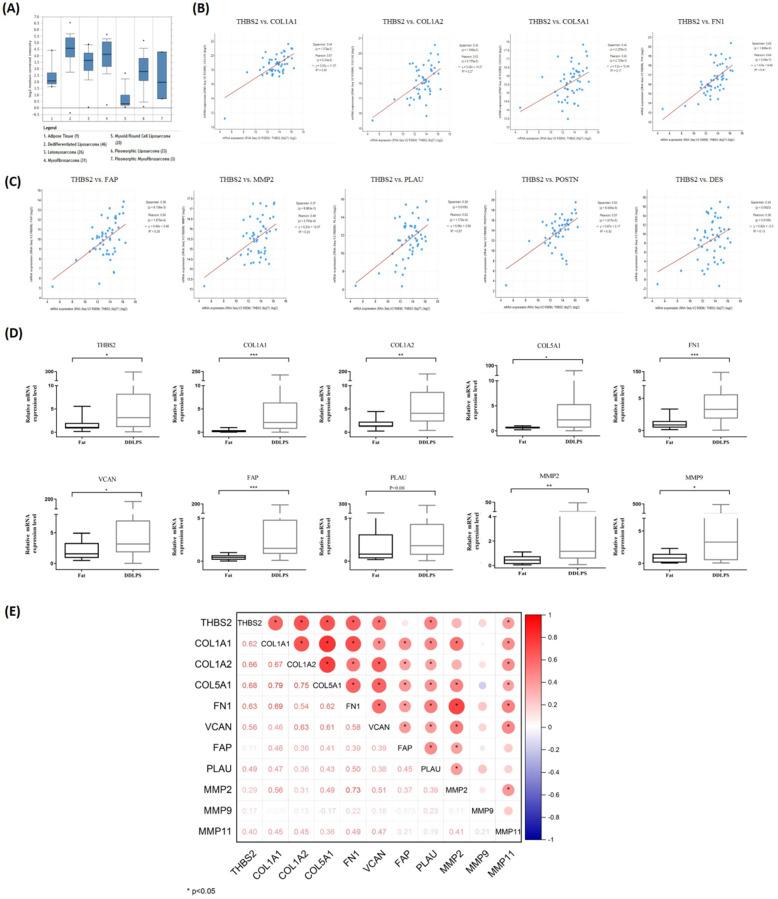 https://cdn.ncbi.nlm.nih.gov/pmc/blobs/712a/9379409/6c59684ba05e/ijbsv18p5038g005.jpg