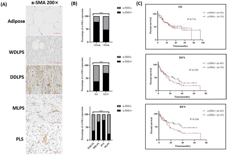 https://cdn.ncbi.nlm.nih.gov/pmc/blobs/712a/9379409/f299f2de5b81/ijbsv18p5038g003.jpg