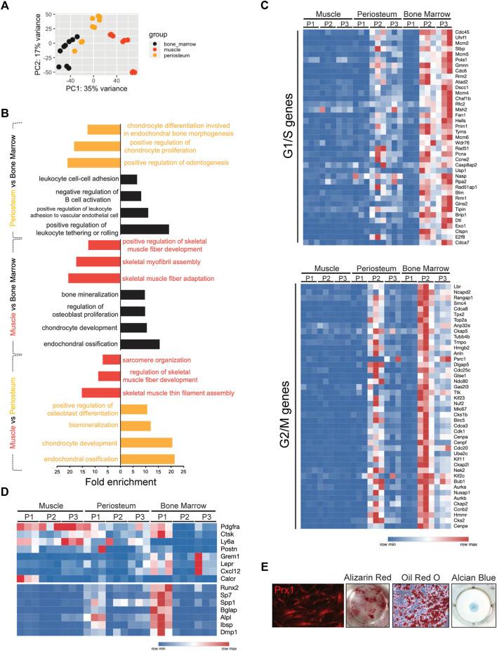 https://cdn.ncbi.nlm.nih.gov/pmc/blobs/712a/9922707/bcc01a7510fd/fphys-14-1106474-g005.jpg