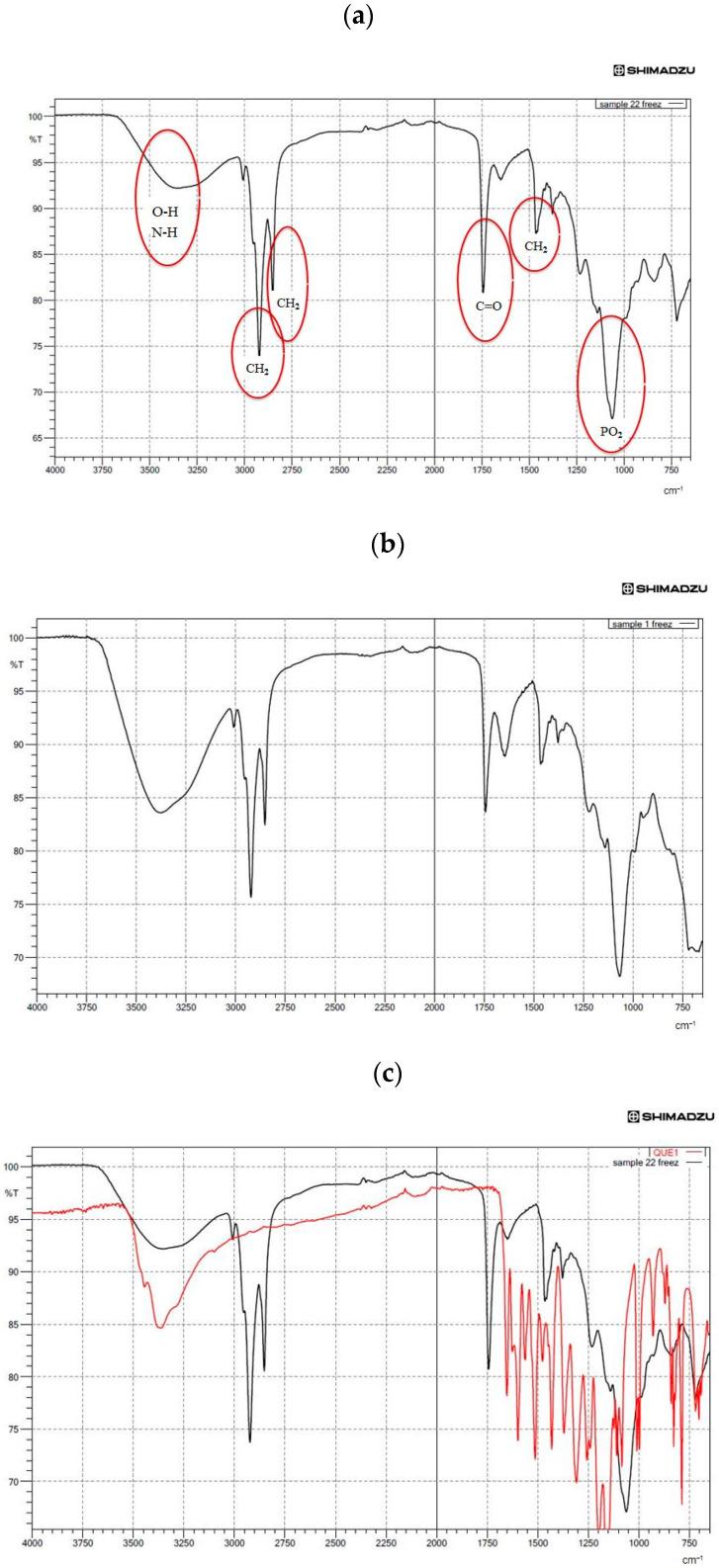 https://cdn.ncbi.nlm.nih.gov/pmc/blobs/712b/7762074/7852bd3ce071/nanomaterials-10-02432-g002a.jpg