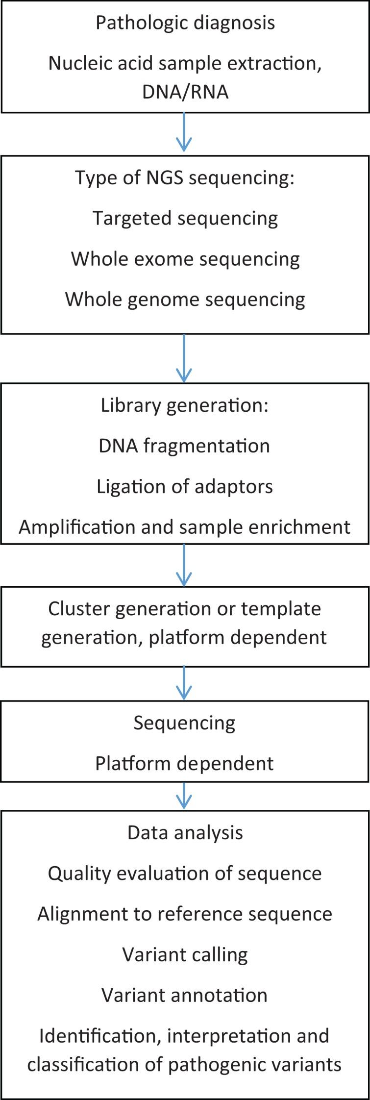 https://cdn.ncbi.nlm.nih.gov/pmc/blobs/712c/5944141/8f108b10e904/10.1177_2374289518766521-fig1.jpg
