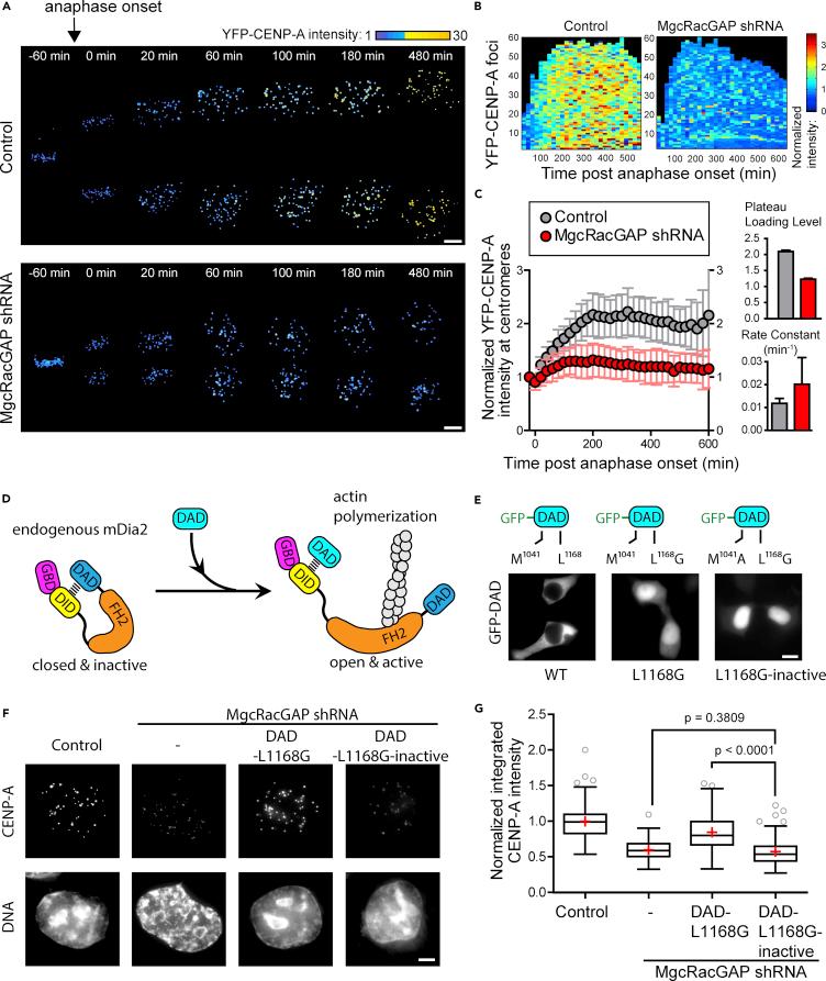 https://cdn.ncbi.nlm.nih.gov/pmc/blobs/712d/6240728/596d576a24ac/gr4.jpg
