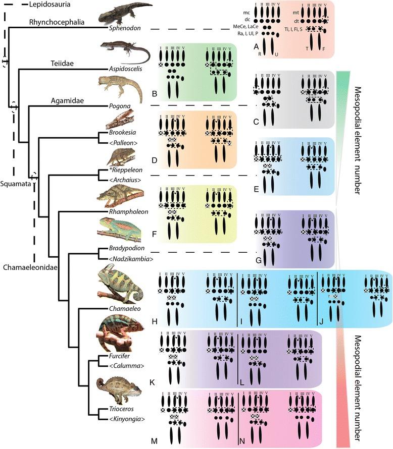 https://cdn.ncbi.nlm.nih.gov/pmc/blobs/712e/4574539/86069b3b36a9/12862_2015_464_Fig17_HTML.jpg