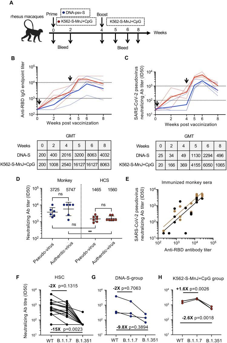https://cdn.ncbi.nlm.nih.gov/pmc/blobs/7131/8366622/3fa8b1338cea/TEMI_A_1957400_F0006_OC.jpg