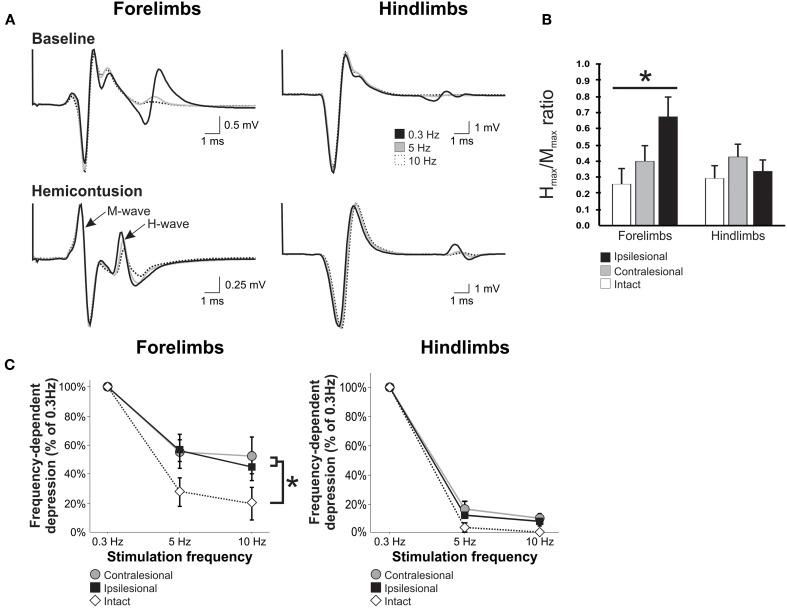 https://cdn.ncbi.nlm.nih.gov/pmc/blobs/7132/3429098/76a41979ec0f/fphys-03-00330-g0005.jpg