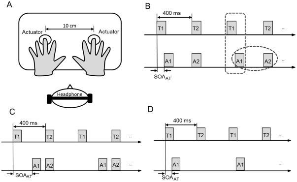 https://cdn.ncbi.nlm.nih.gov/pmc/blobs/7133/3044160/c9b714c7539c/pone.0017130.g001.jpg