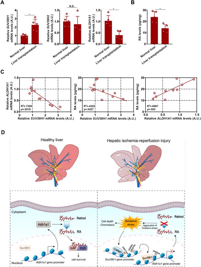 https://cdn.ncbi.nlm.nih.gov/pmc/blobs/7134/11635714/b1d1f2bd4c6e/gr8.jpg