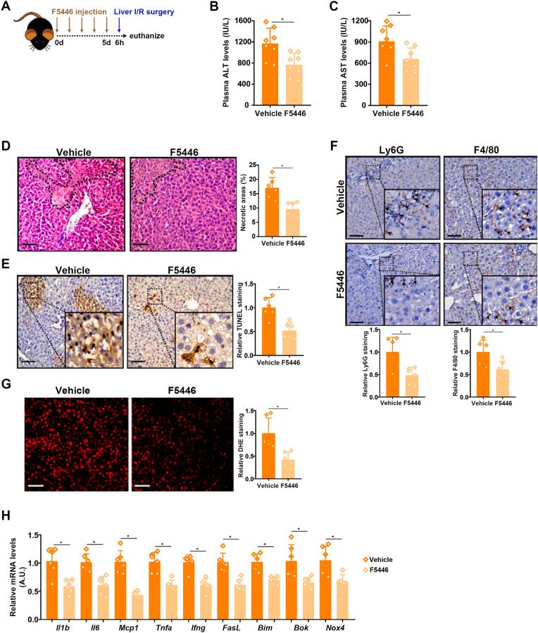 https://cdn.ncbi.nlm.nih.gov/pmc/blobs/7134/11635714/dbbd9618595d/gr7.jpg