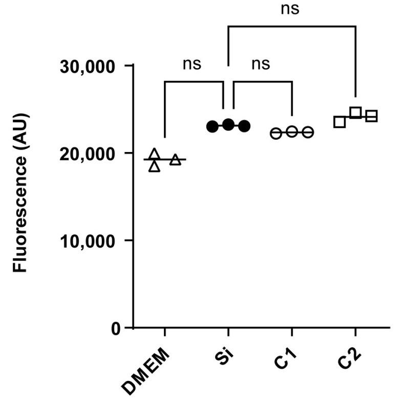 https://cdn.ncbi.nlm.nih.gov/pmc/blobs/7136/12115074/bb1d7b4b1f94/polymers-17-01404-g004.jpg