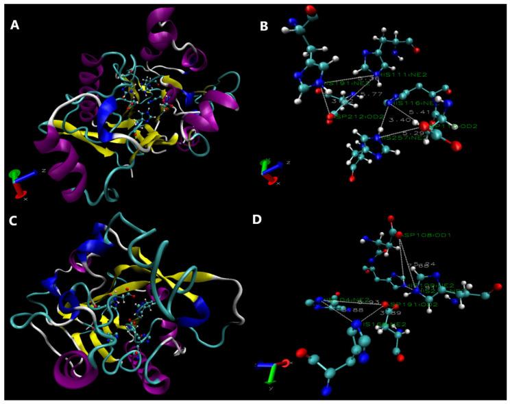 https://cdn.ncbi.nlm.nih.gov/pmc/blobs/7138/12388617/6c906d53a236/microorganisms-13-01717-g005.jpg