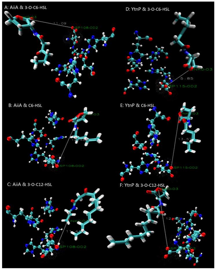 https://cdn.ncbi.nlm.nih.gov/pmc/blobs/7138/12388617/ca08667b1b4f/microorganisms-13-01717-g006.jpg