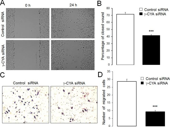 https://cdn.ncbi.nlm.nih.gov/pmc/blobs/7139/4196865/0d8e1eafeb8c/3133fig2.jpg