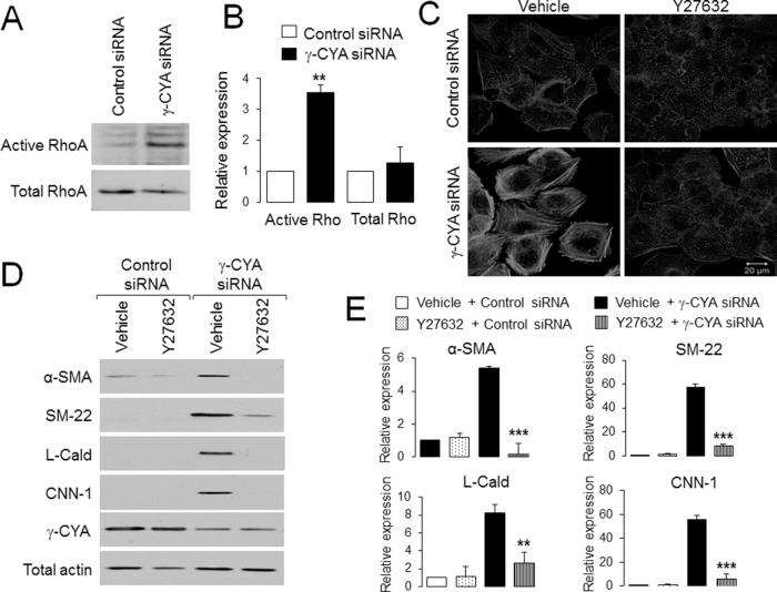 https://cdn.ncbi.nlm.nih.gov/pmc/blobs/7139/4196865/31e451f69adf/3133fig8.jpg