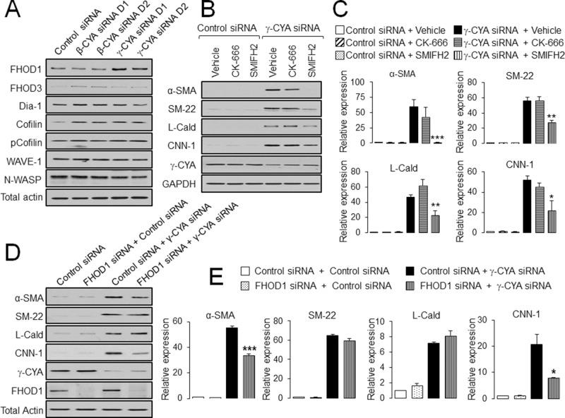 https://cdn.ncbi.nlm.nih.gov/pmc/blobs/7139/4196865/7a86281f7590/3133fig7.jpg