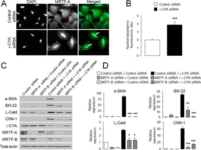 https://cdn.ncbi.nlm.nih.gov/pmc/blobs/7139/4196865/a940c680922f/3133fig4.jpg
