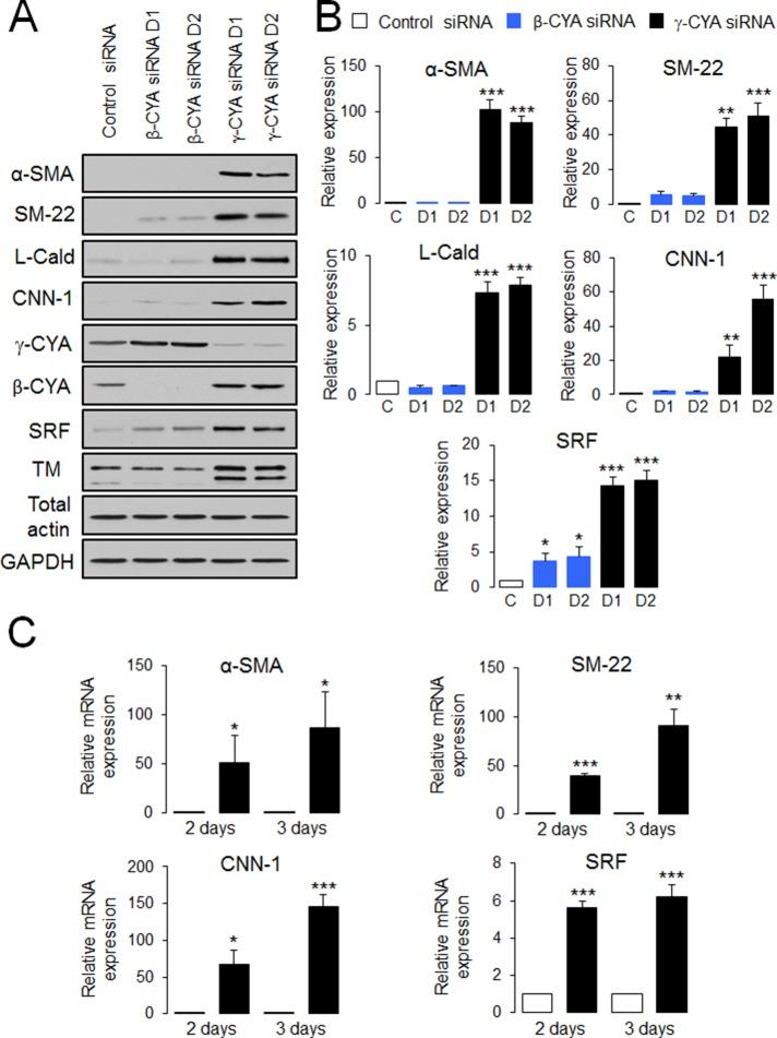 https://cdn.ncbi.nlm.nih.gov/pmc/blobs/7139/4196865/cf0419a13c53/3133fig1.jpg