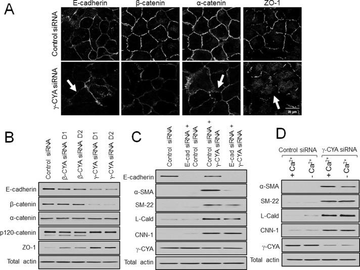 https://cdn.ncbi.nlm.nih.gov/pmc/blobs/7139/4196865/f1197009b777/3133fig9.jpg