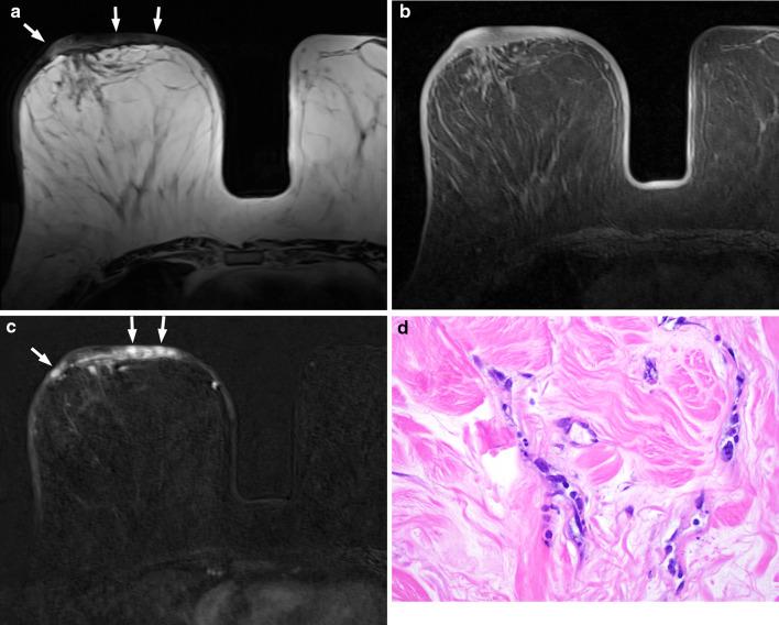 https://cdn.ncbi.nlm.nih.gov/pmc/blobs/713b/8684573/7c02061d3cc2/13244_2021_1129_Fig5_HTML.jpg