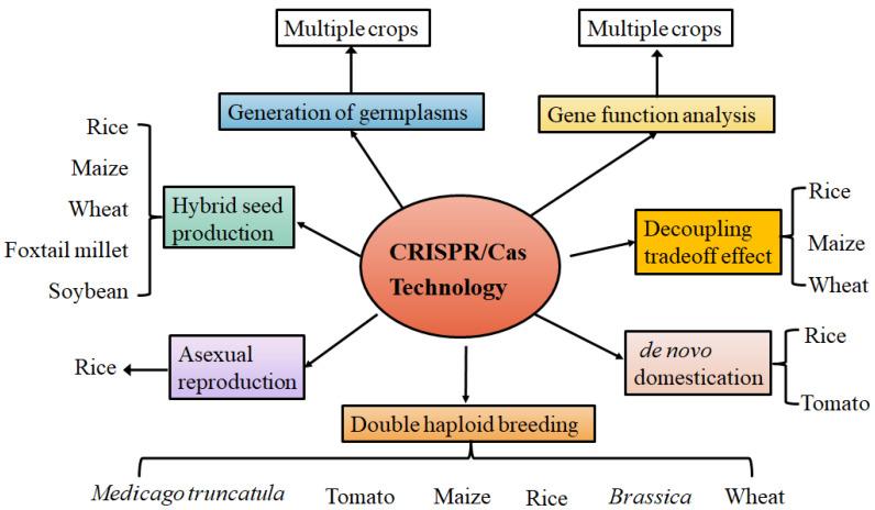 https://cdn.ncbi.nlm.nih.gov/pmc/blobs/713f/10489799/d854a7354827/plants-12-03119-g001.jpg
